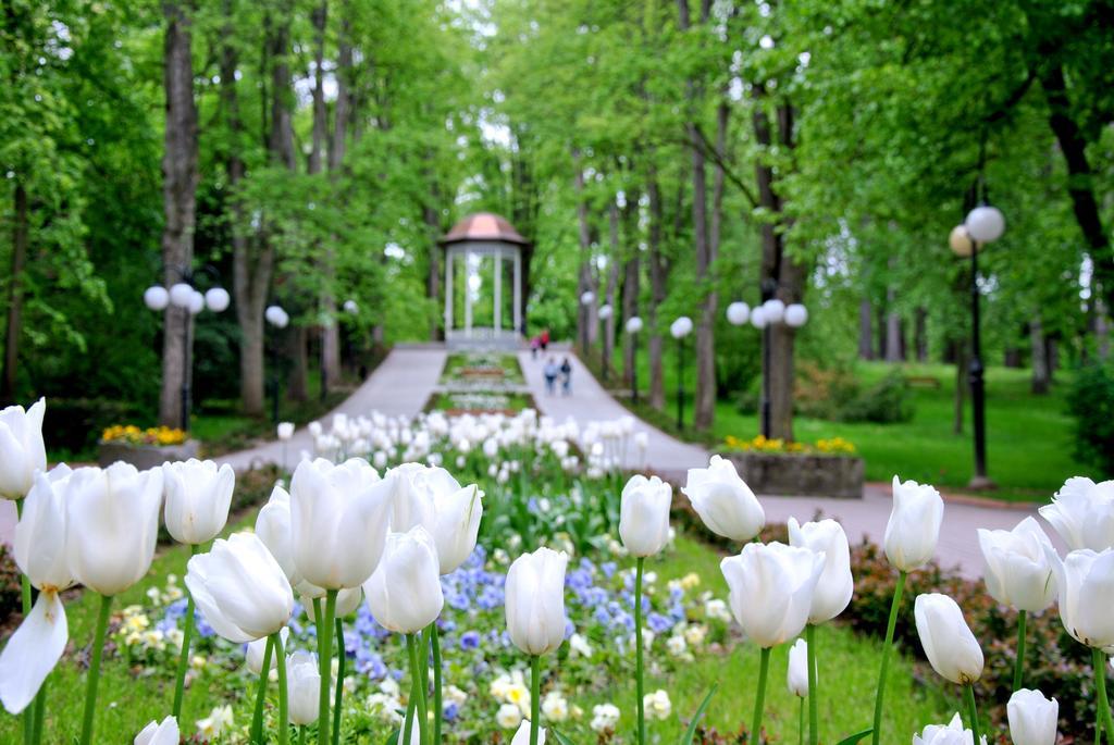 Resort Wielka Pieniawa Bad Altheide